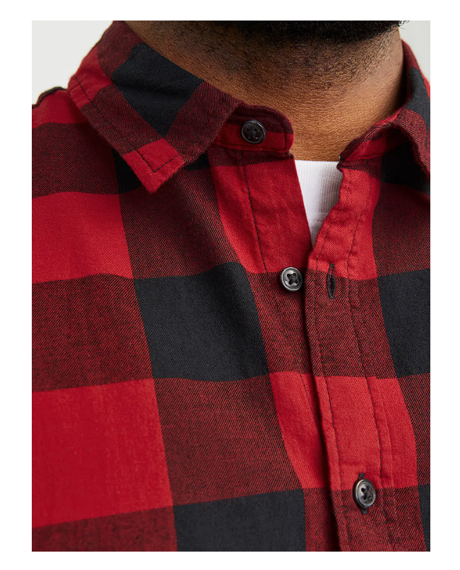 Camisa JJEGINGHAM