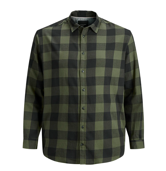 Camisa JJEGINGHAM