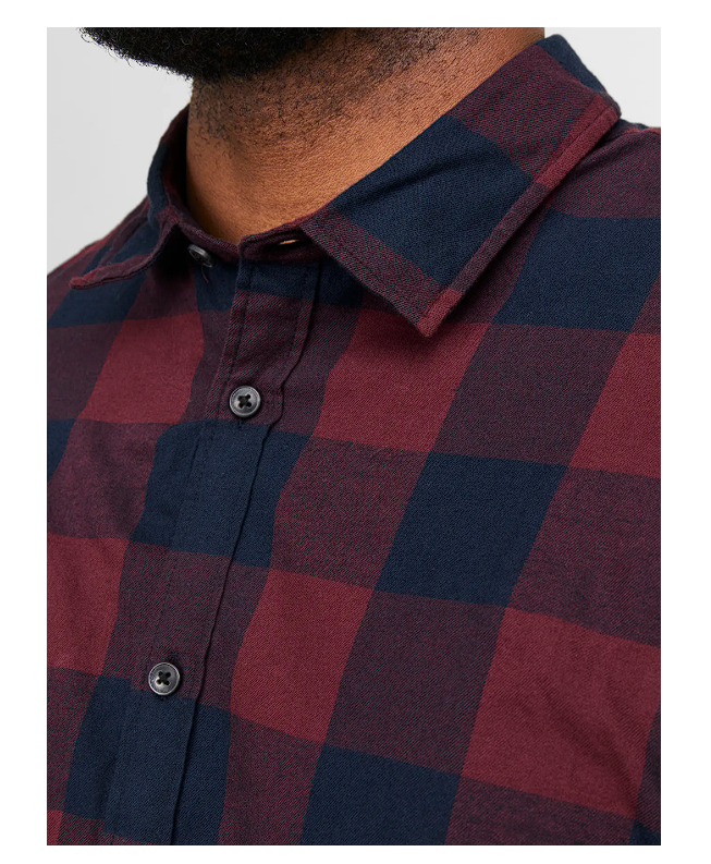 Camisa JJEGINGHAM