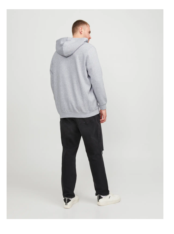 Casaco Malha BASIC ZIP HOOD BRADLEY